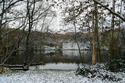 Para um Curso de Primeiros Socorros em Áreas Remotas, busque programas especializados que ofereçam treinamento prático para e