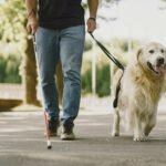 Para decidir entre sensor de estacionamento ou câmera de ré, considere suas necessidades de visualização e alertas. Sensores