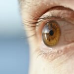 Visão Saudável na Era Digital: Guia Definitivo para Cuidar dos Olhos Usando Computador o Dia Todo — como cuidar da saúde ocul