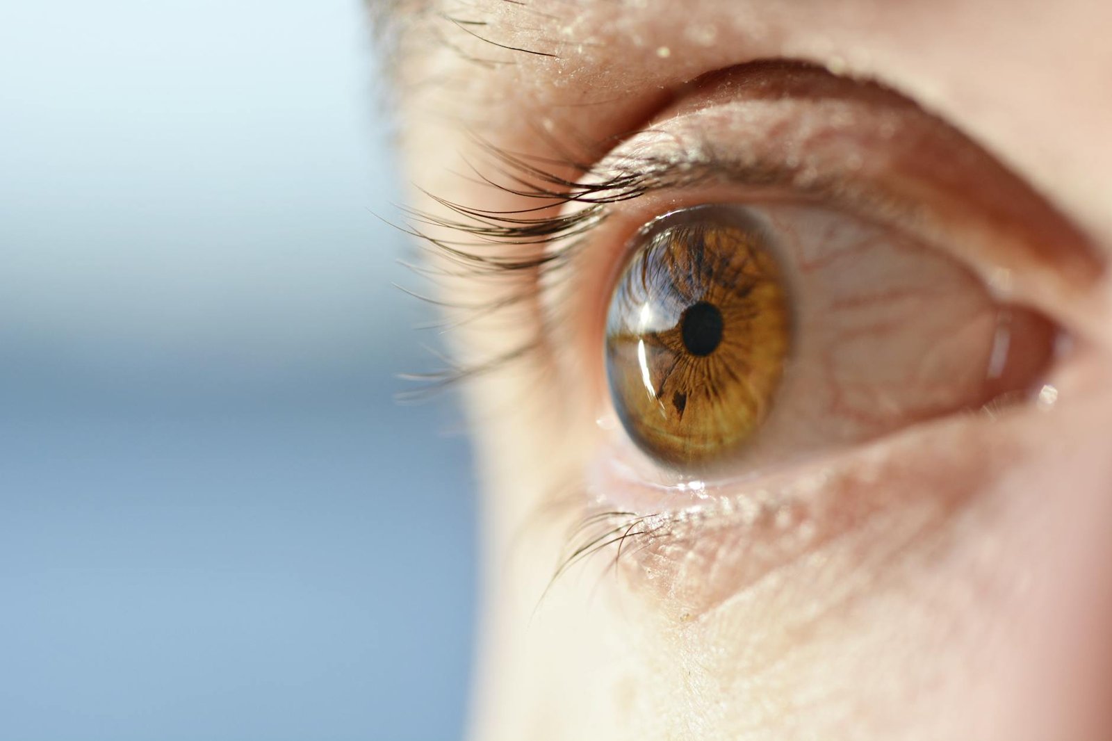 Visão Saudável na Era Digital: Guia Definitivo para Cuidar dos Olhos Usando Computador o Dia Todo — como cuidar da saúde ocul