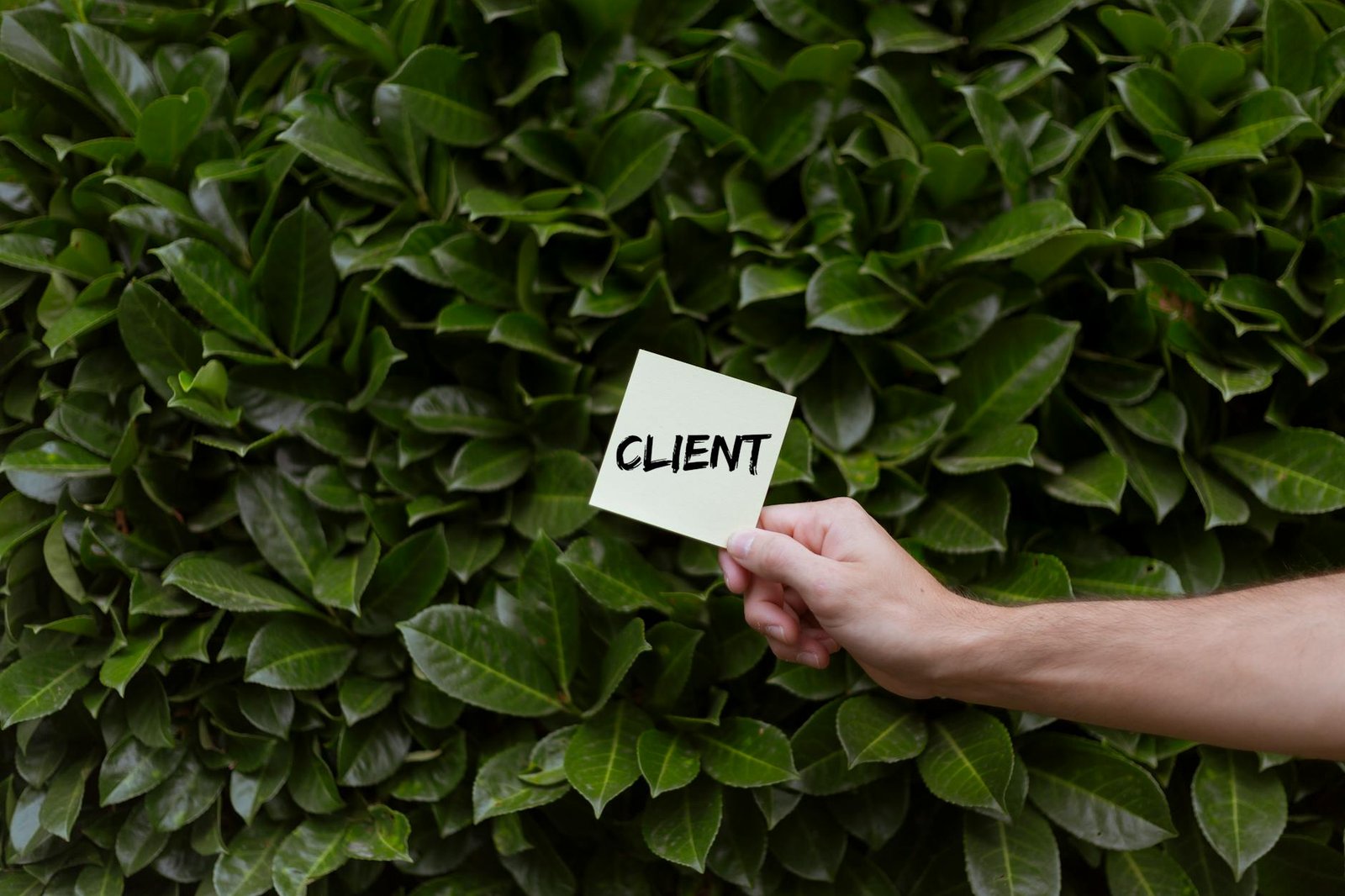 Marketing de Conteúdo Local: O Guia Definitivo para Atrair e Converter Clientes na Sua Região — marketing de conteúdo para at