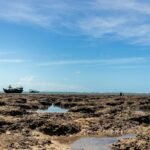 As Melhores Praias do Nordeste para Visitar com a Família: Guia Completo e Inesquecível — melhores praias do nordeste para vi
