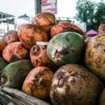 Óleo de Coco: Guia Completo de Usos, Benefícios e Como Aplicar Corretamente — óleo de coco para que serve e como usar | Aprox