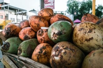 Óleo de Coco: Guia Completo de Usos, Benefícios e Como Aplicar Corretamente — óleo de coco para que serve e como usar | Aprox