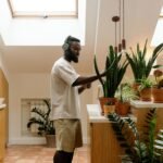 Plantas para Dentro de Casa Sem Sol: O Guia Definitivo para Ambientes com Pouca Luz — plantas para dentro de casa que não pre