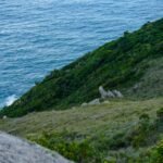 Roteiro de 3 Dias em Florianópolis: O Guia Completo para Aproveitar a Ilha da Magia! — roteiro de 3 dias em florianópolis o q