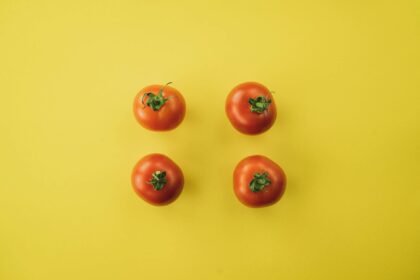 Técnica Pomodoro: O Guia Definitivo para Estudar com Foco Inabalável e Otimizar seu Tempo — técnica pomodoro para estudar com